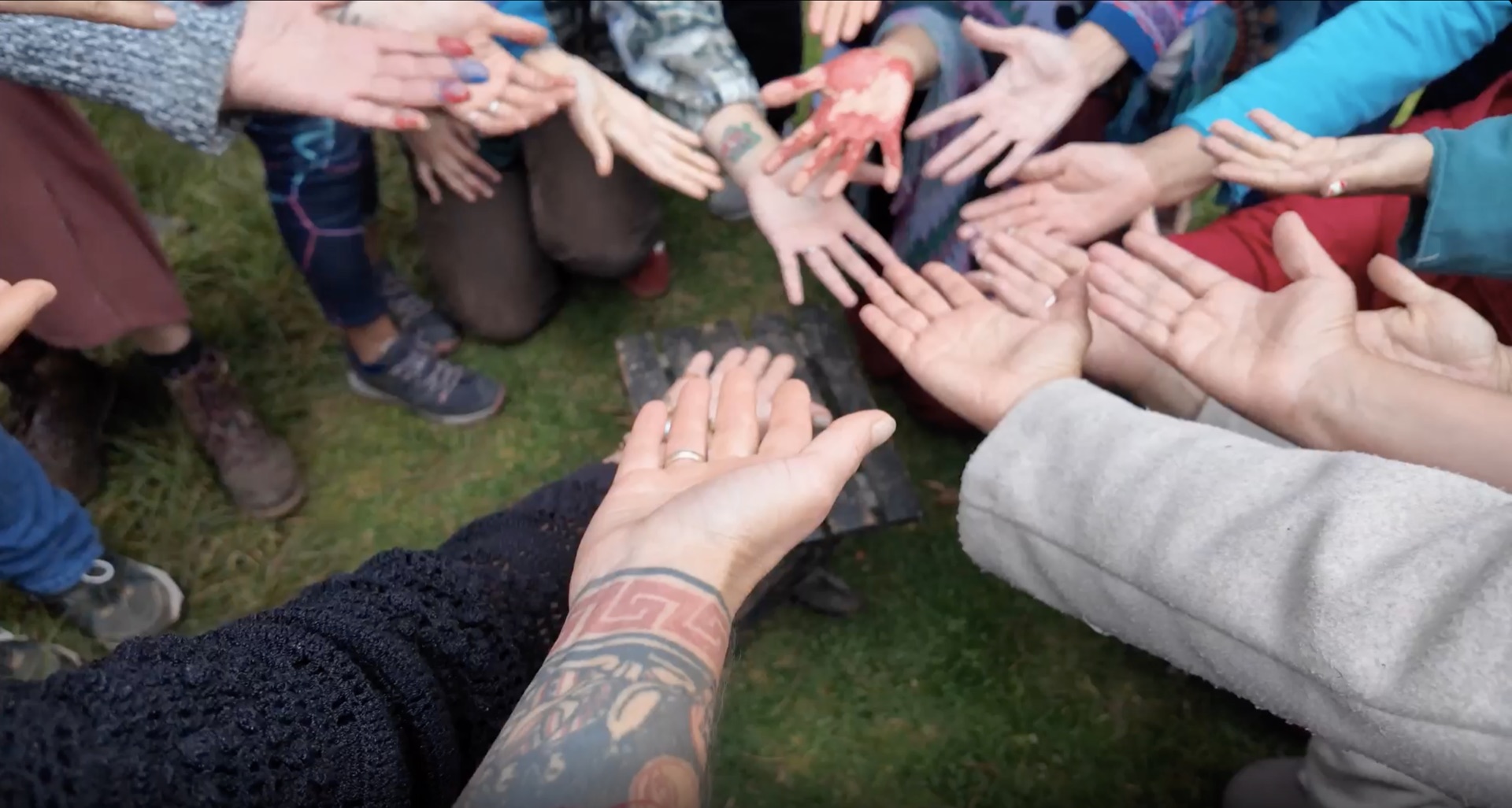 Manos de distintas personas extendidas en círculo sobre el pasto